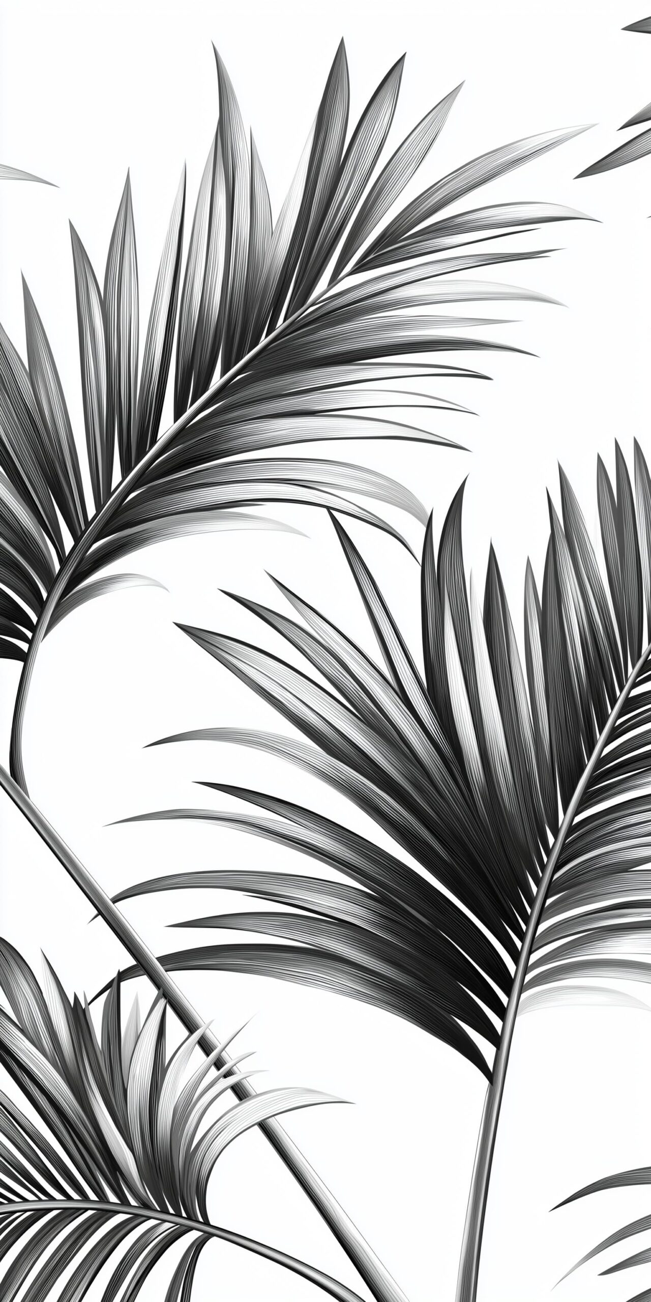 Black and white palm beach towel • Striking monochrome palm leaves 9 Black and white palm beach towel Striking monochrome palm leaves 1 scaled