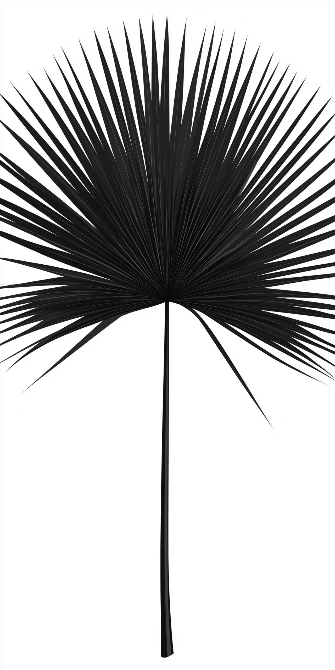 Black palm leaf beach towel • Elegant minimalist design 2 Black palm leaf beach towel Elegant minimalist design 1 scaled