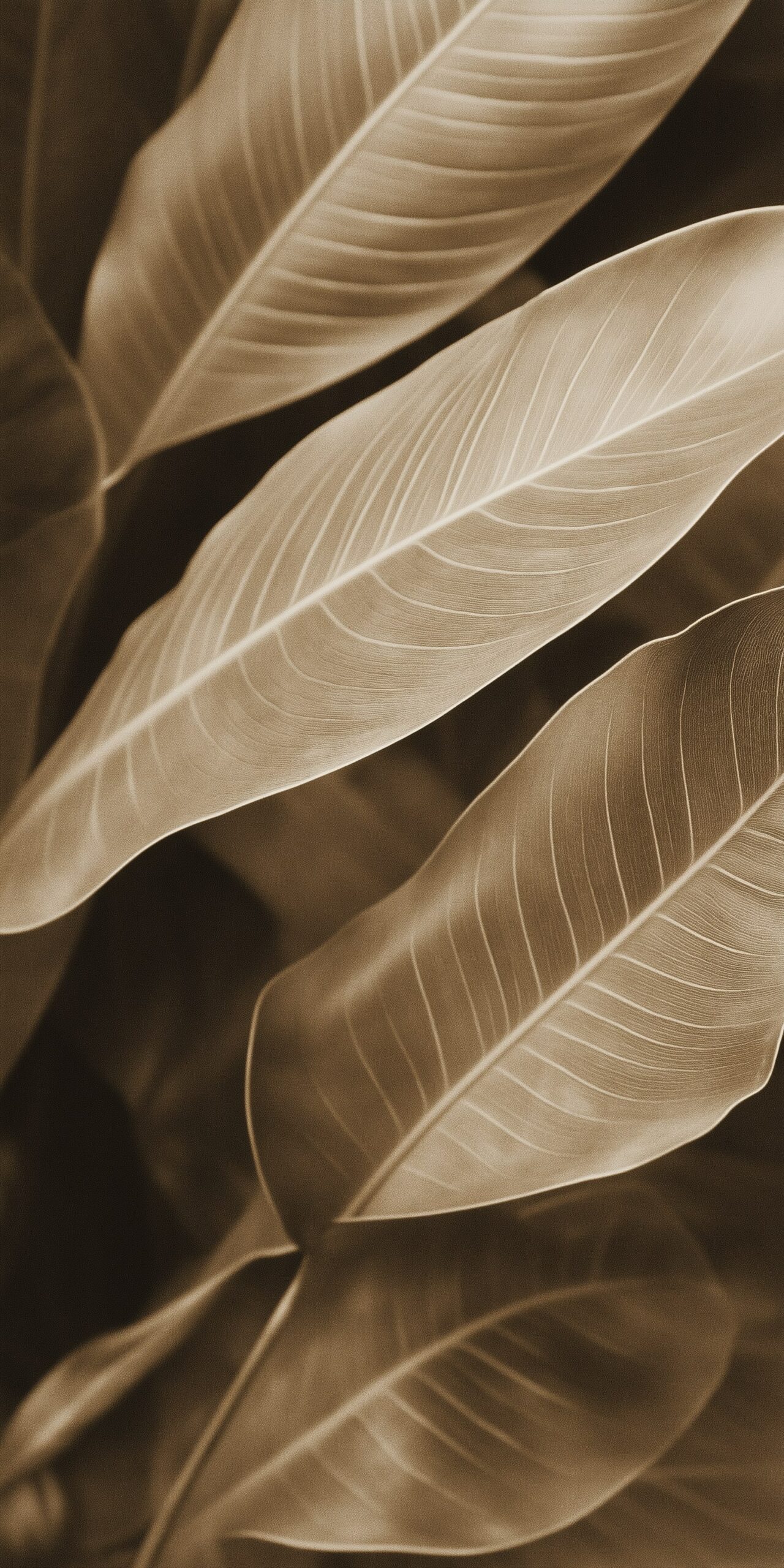 Leaf patterns beach towel • Subtle sepia hues and intricate textures 1 Leaf patterns beach towel Subtle sepia hues and intricate textures 1 scaled
