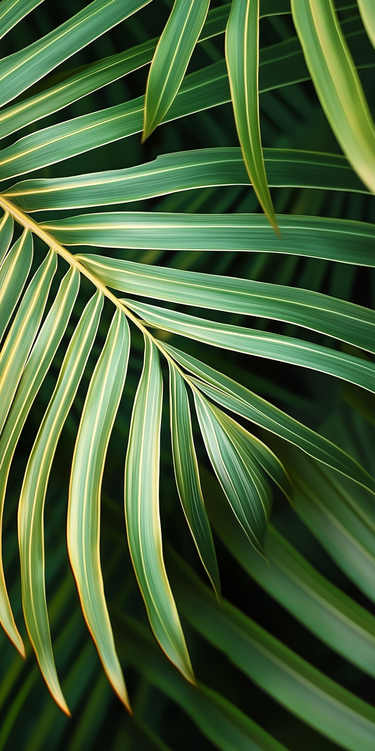 Leafy green beach towel • Elegant palm leaf design 8 Leafy green beach towel Elegant palm leaf design 1 scaled