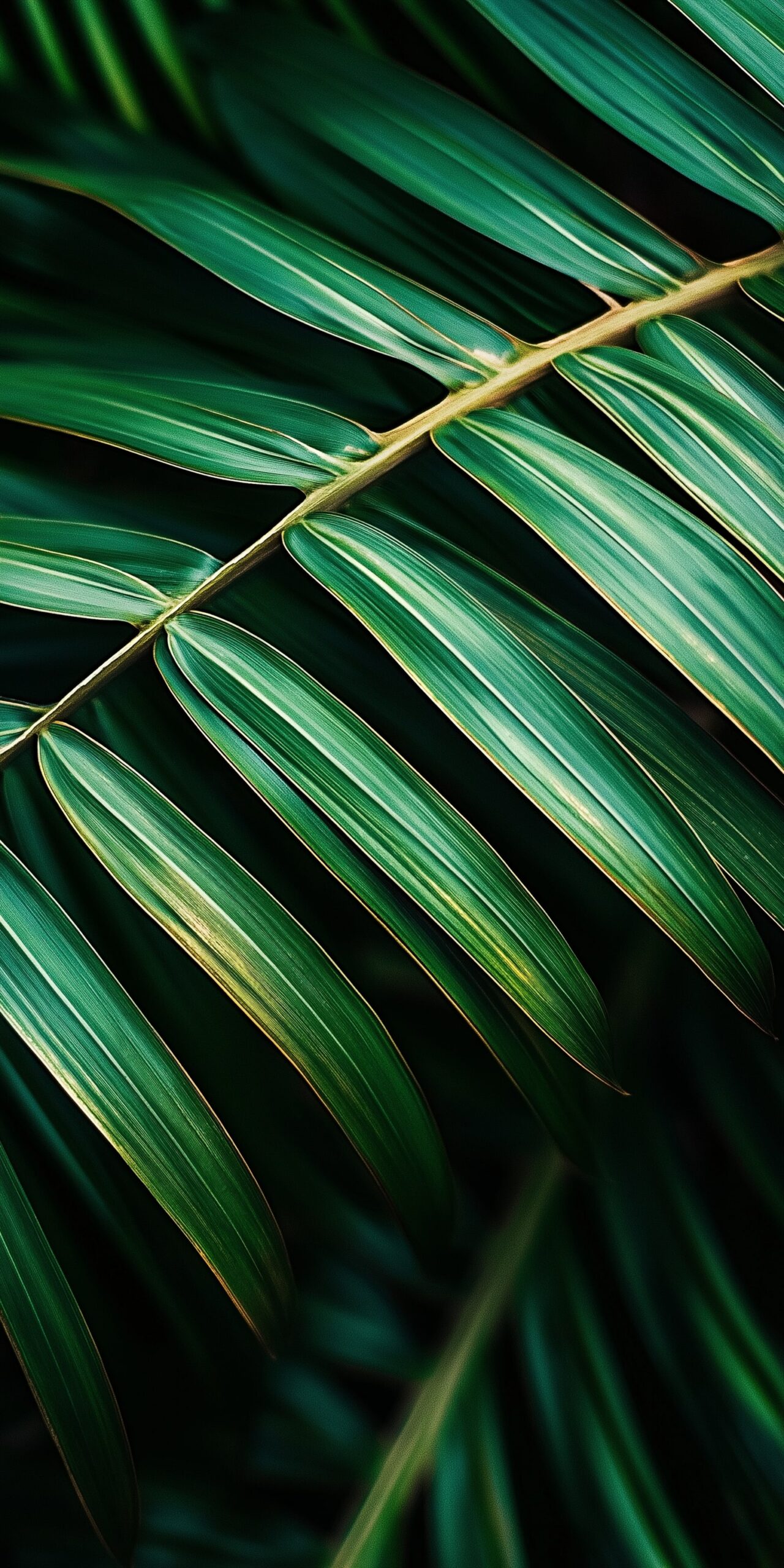 Leafy palm beach towel Vivid green foliage design 1 scaled