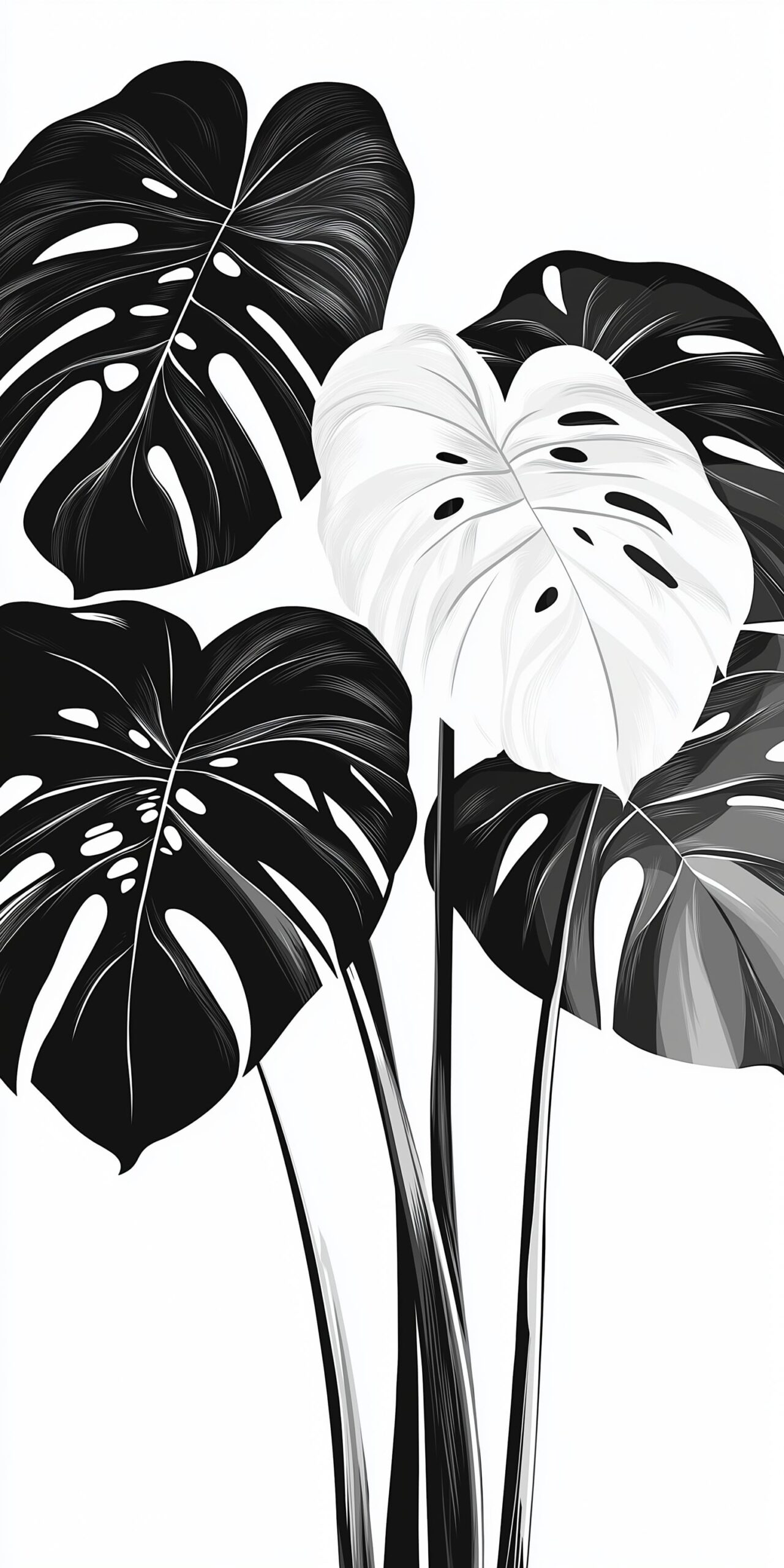 Monstera beach towel Stylish black and white botanical design 1 scaled