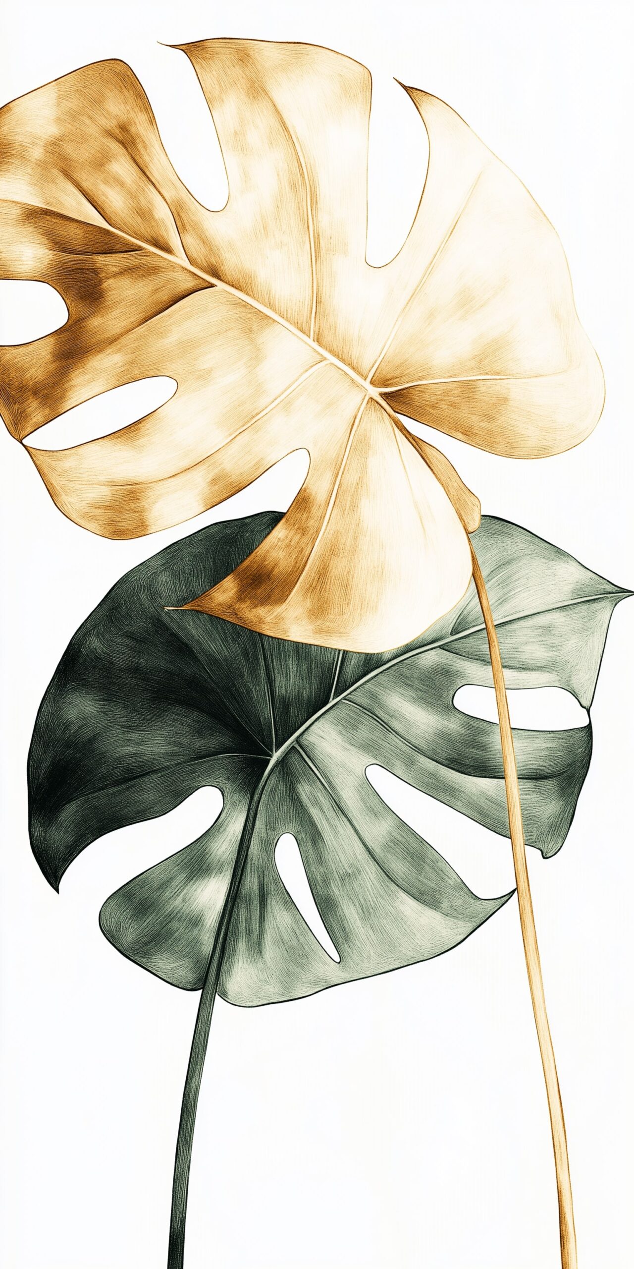 Monstera leaf beach towel Elegant illustrations of tropical foliage 1 scaled