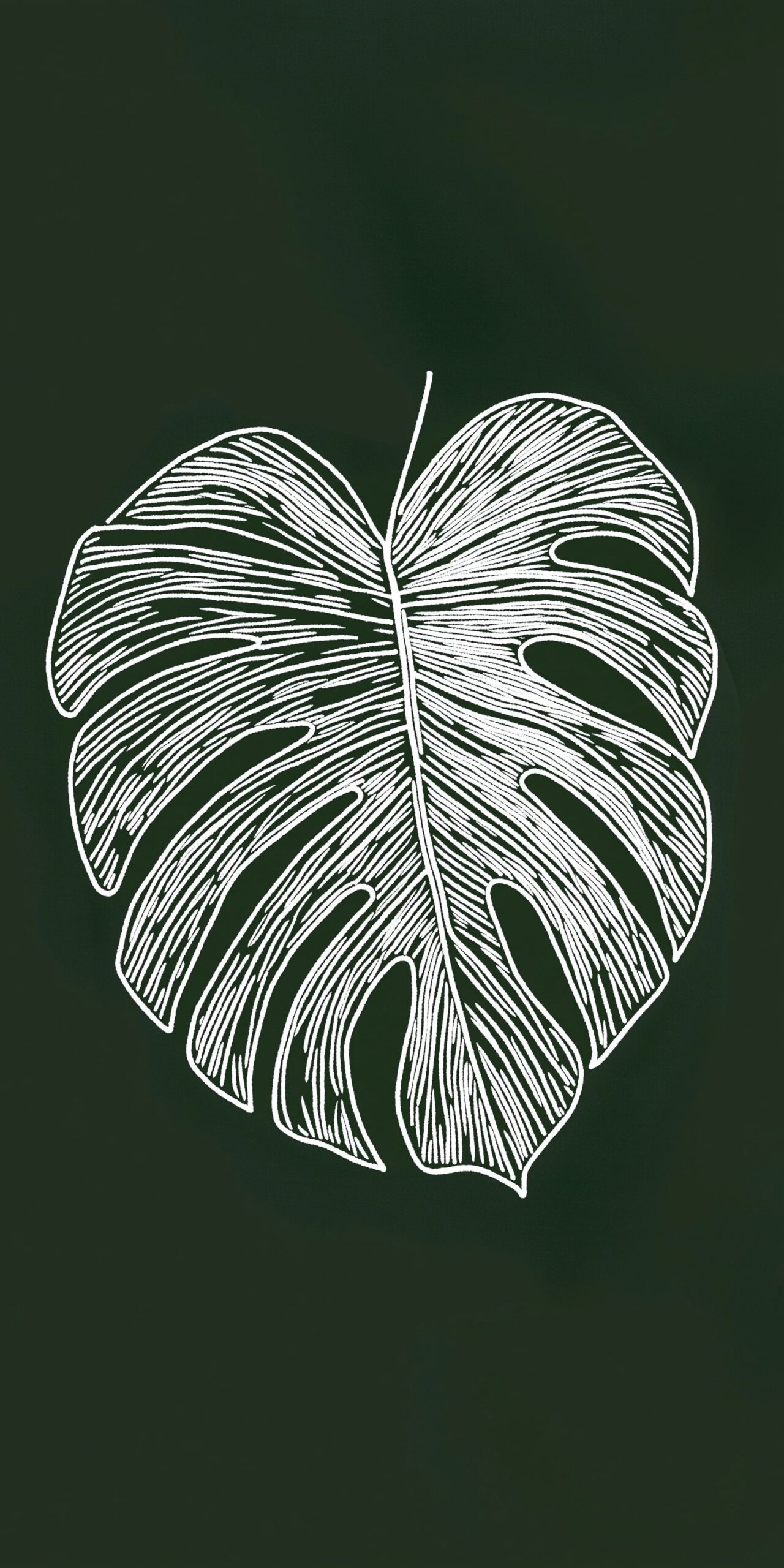 Monstera leaf beach towel Elegant white line art on a deep green background 1 scaled
