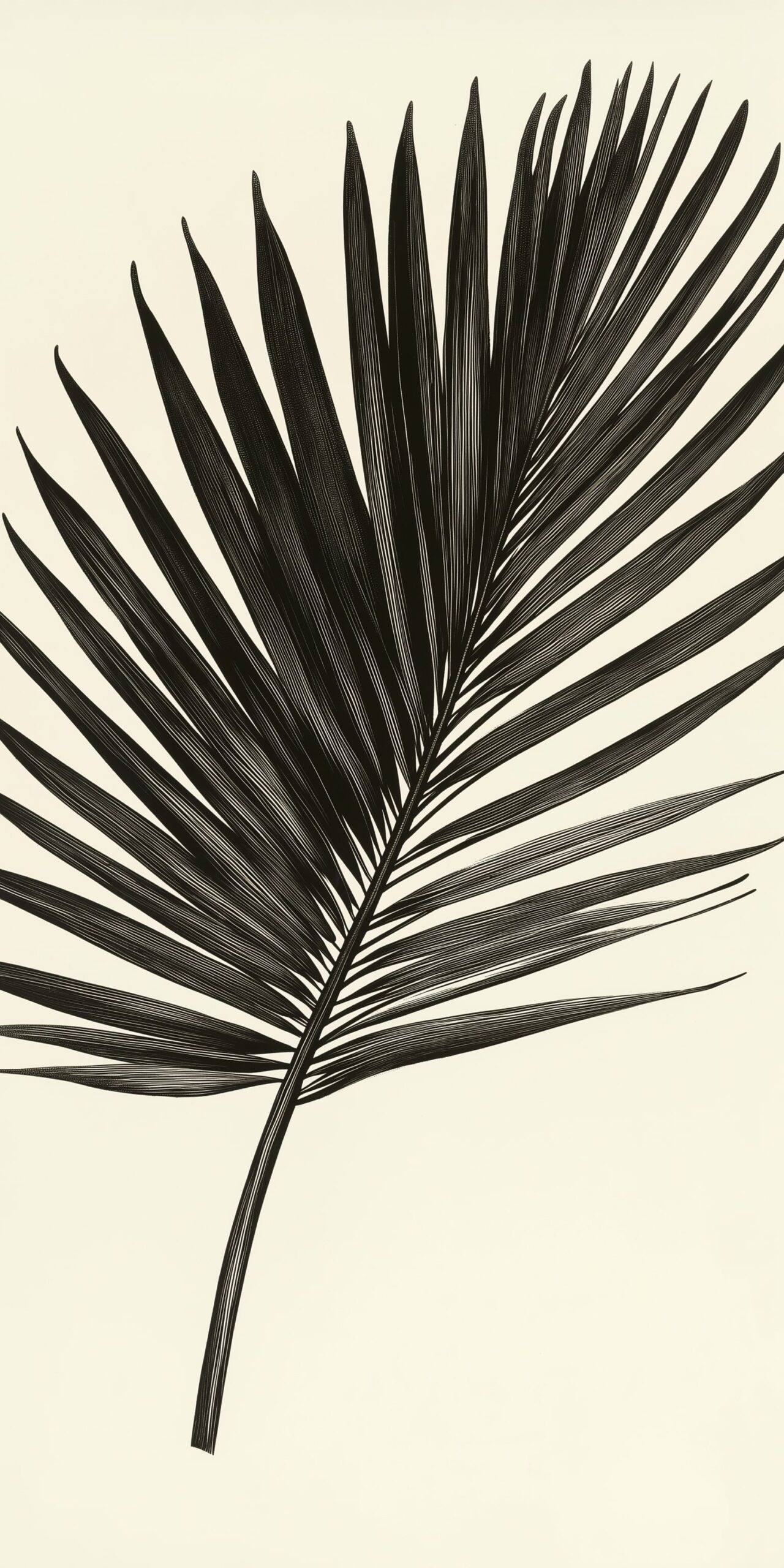 Palm leaf beach towel Elegant black and white palm design 1 scaled