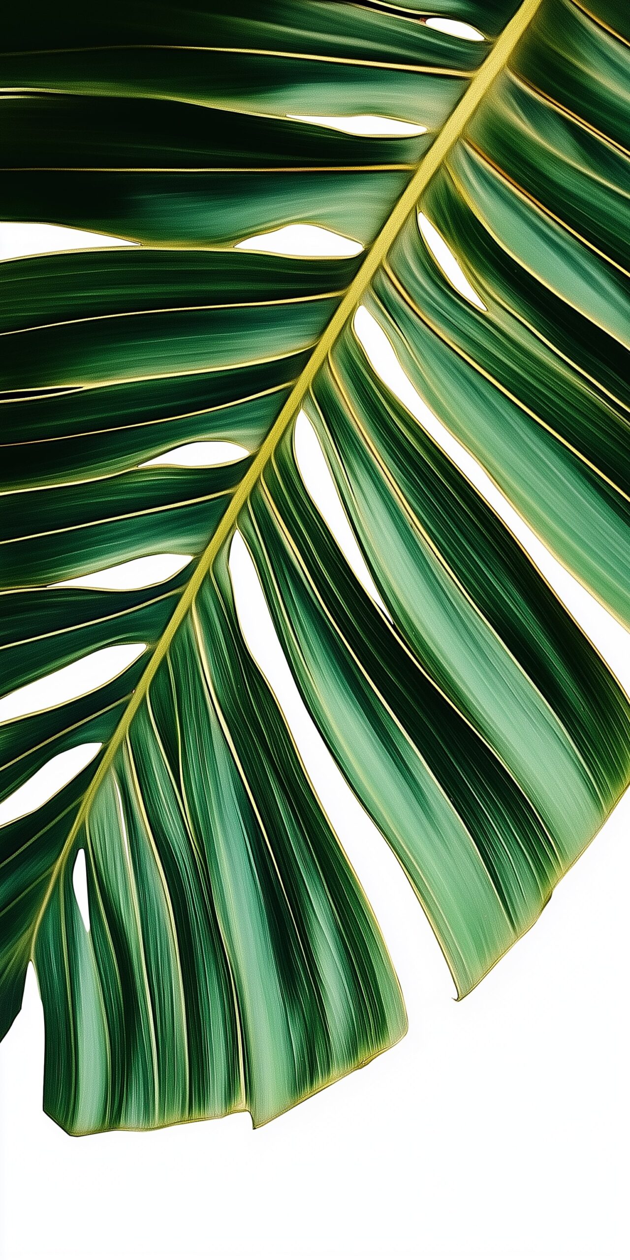 Palm leaf beach towel • Vibrant green tropical foliage design 7 Palm leaf beach towel Vibrant green tropical foliage design 1 scaled