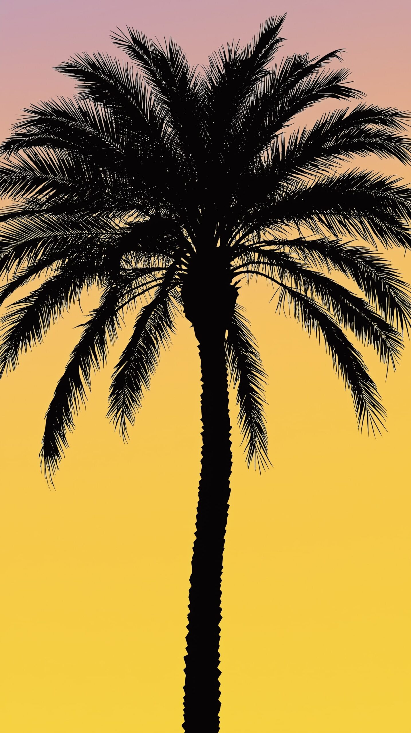 Palm silhouette beach towel • Bold design against a sunset gradient 6 Palm silhouette beach towel Bold design against a sunset gradient 1 scaled