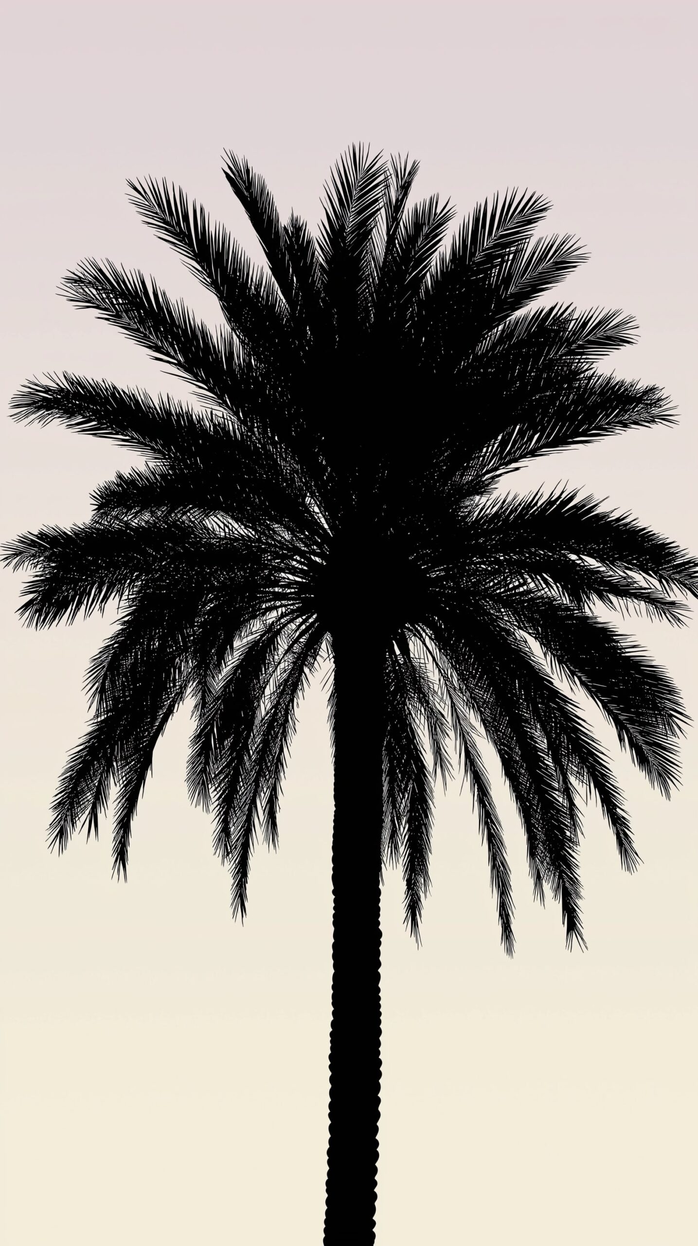 Palm silhouette beach towel • Elegant black palm against a soft gradient 3 Palm silhouette beach towel Elegant black palm against a soft gradient 1 scaled