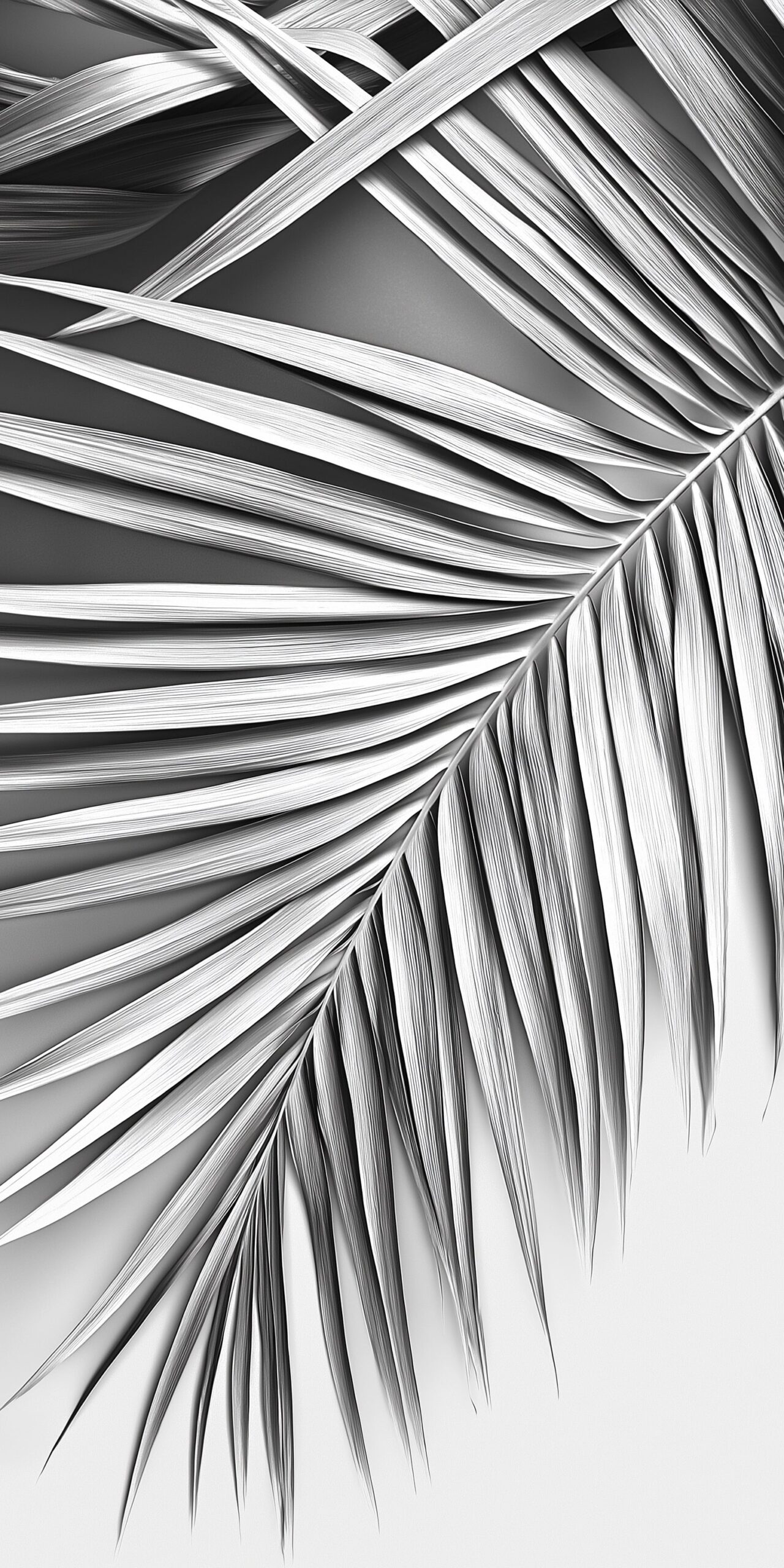 Silver palm leaf beach towel Elegant monochrome design 1 scaled